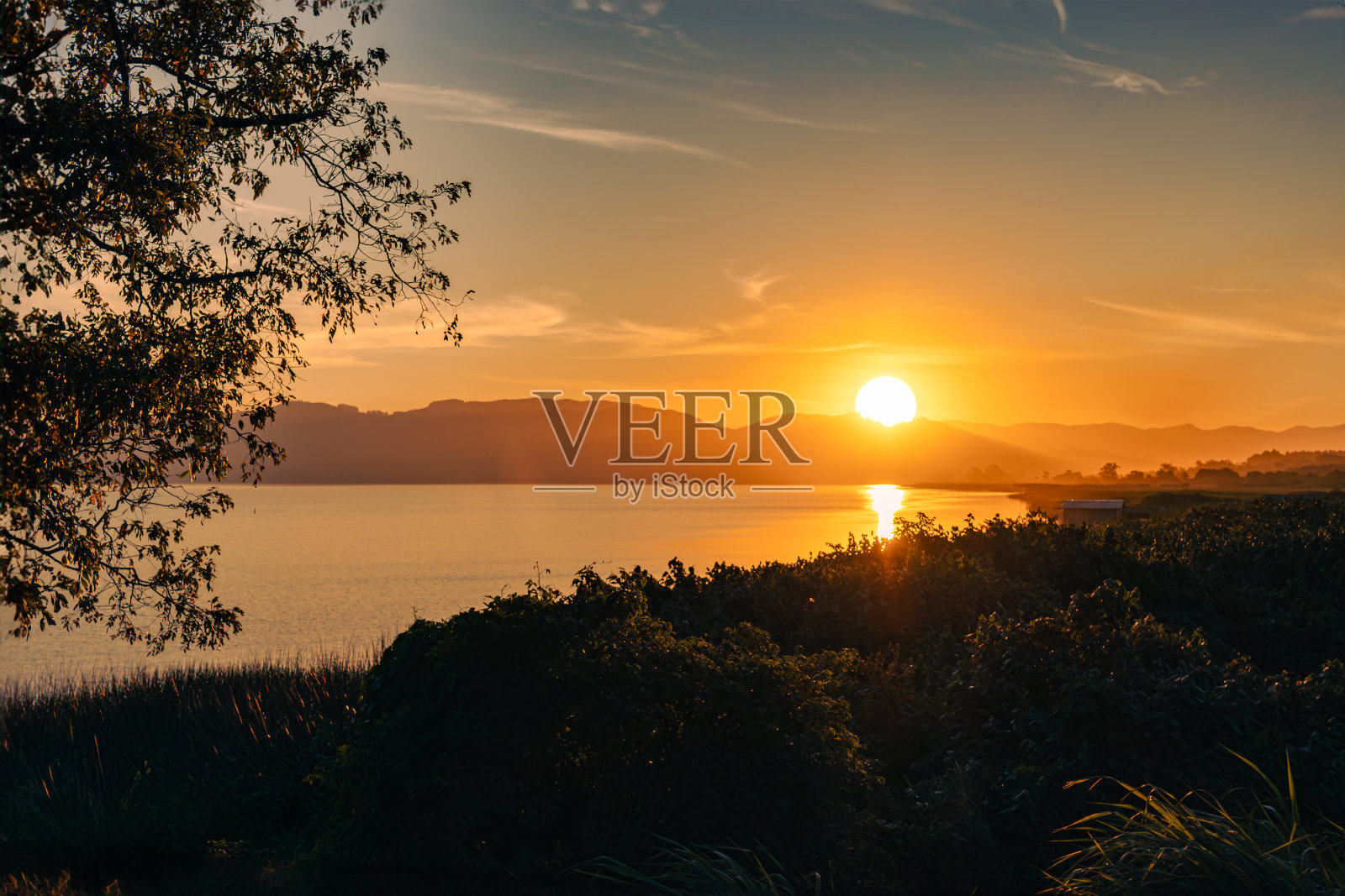 壮丽的落日在山后反射在一个宁静的湖泊，周围是灌木丛和一棵孤独的树。照片摄影图片