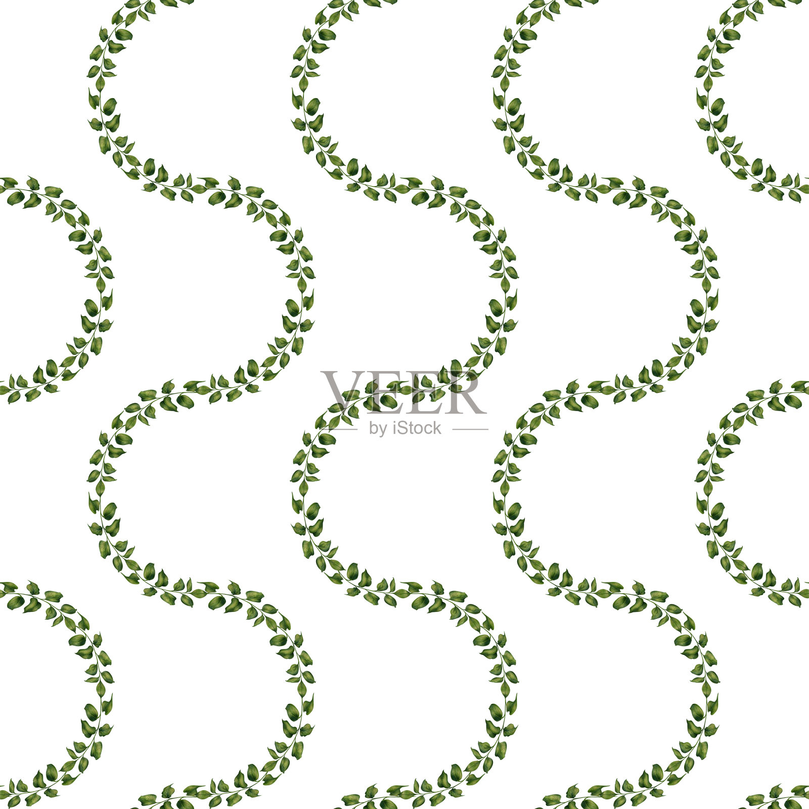 手绘水彩无缝图案的绿色ruscus树枝与树叶的婚礼，生日，贺卡，菜单，横幅，边界，贴纸。元素被隔离在白色背景上。插画图片素材