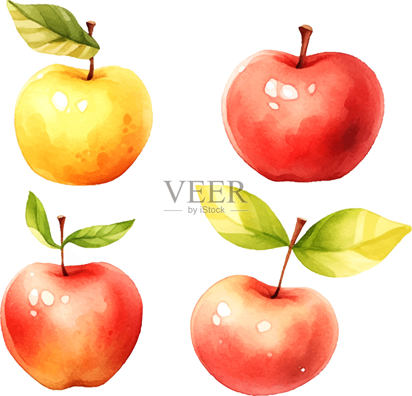 红苹果水彩在白色的手绘风格设计元素图片