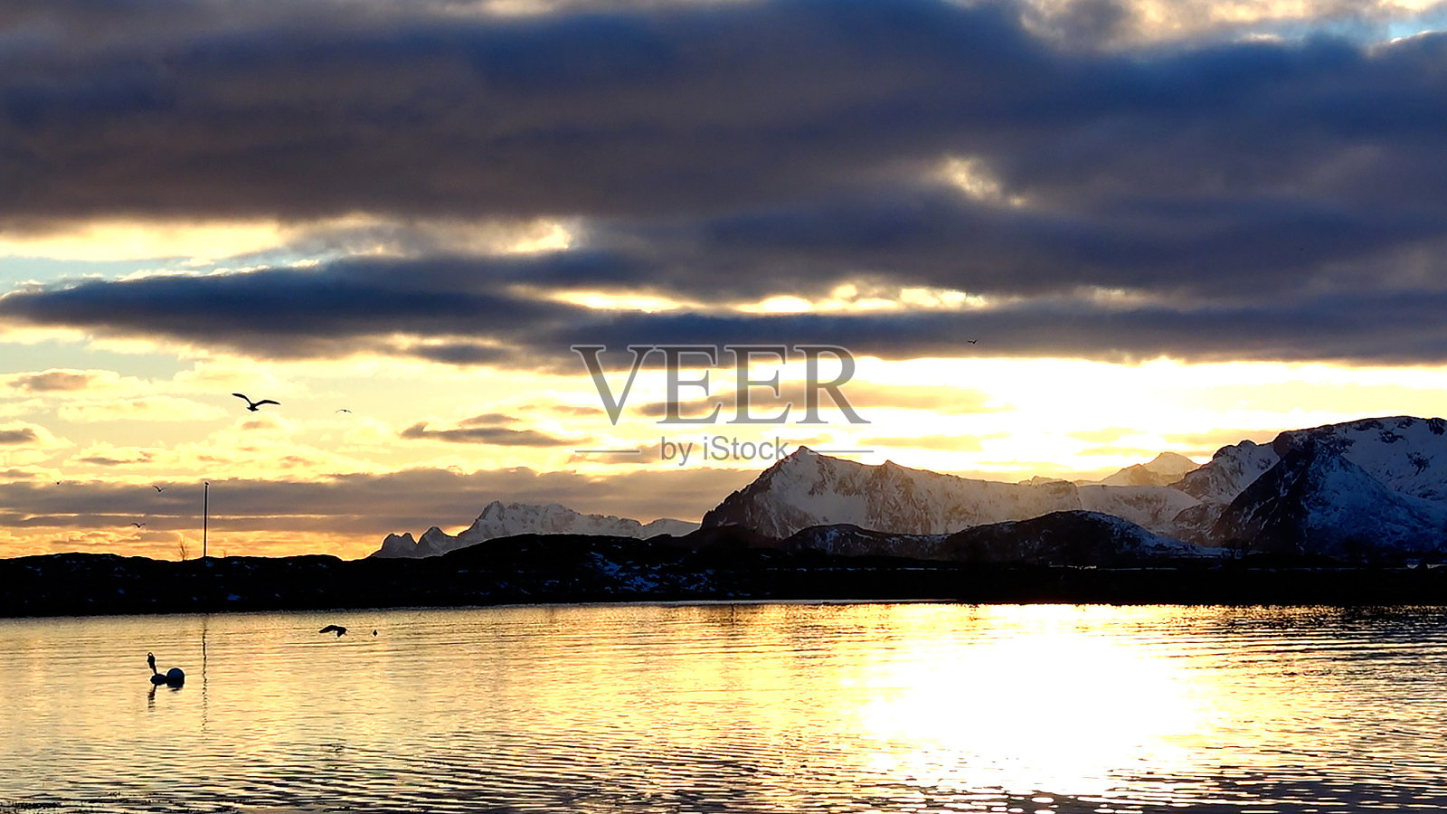 挪威罗弗敦群岛沿路的风景。照片摄影图片