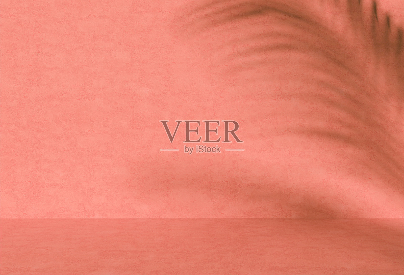 抽象的极简主义室内设计和柔和的珊瑚色调背景，为产品展示提供光影反射，明暗对比和蕨类植物。照片摄影图片