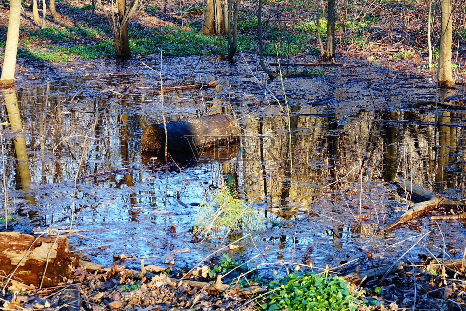 北布朗克斯公园和布朗克斯河照片摄影图片