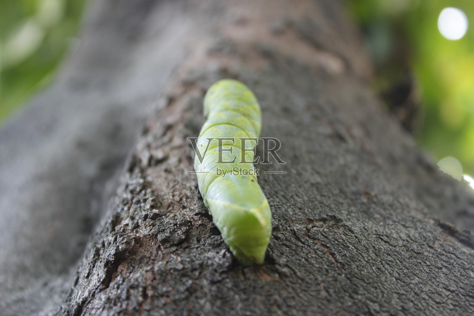 错误照片摄影图片