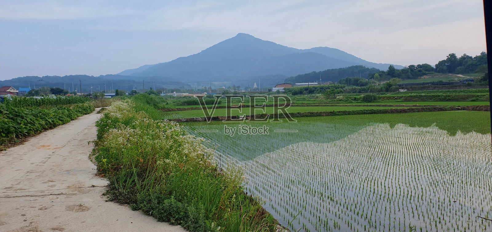 天空，树木，道路，田野，田野，山脉，清新的空气照片摄影图片