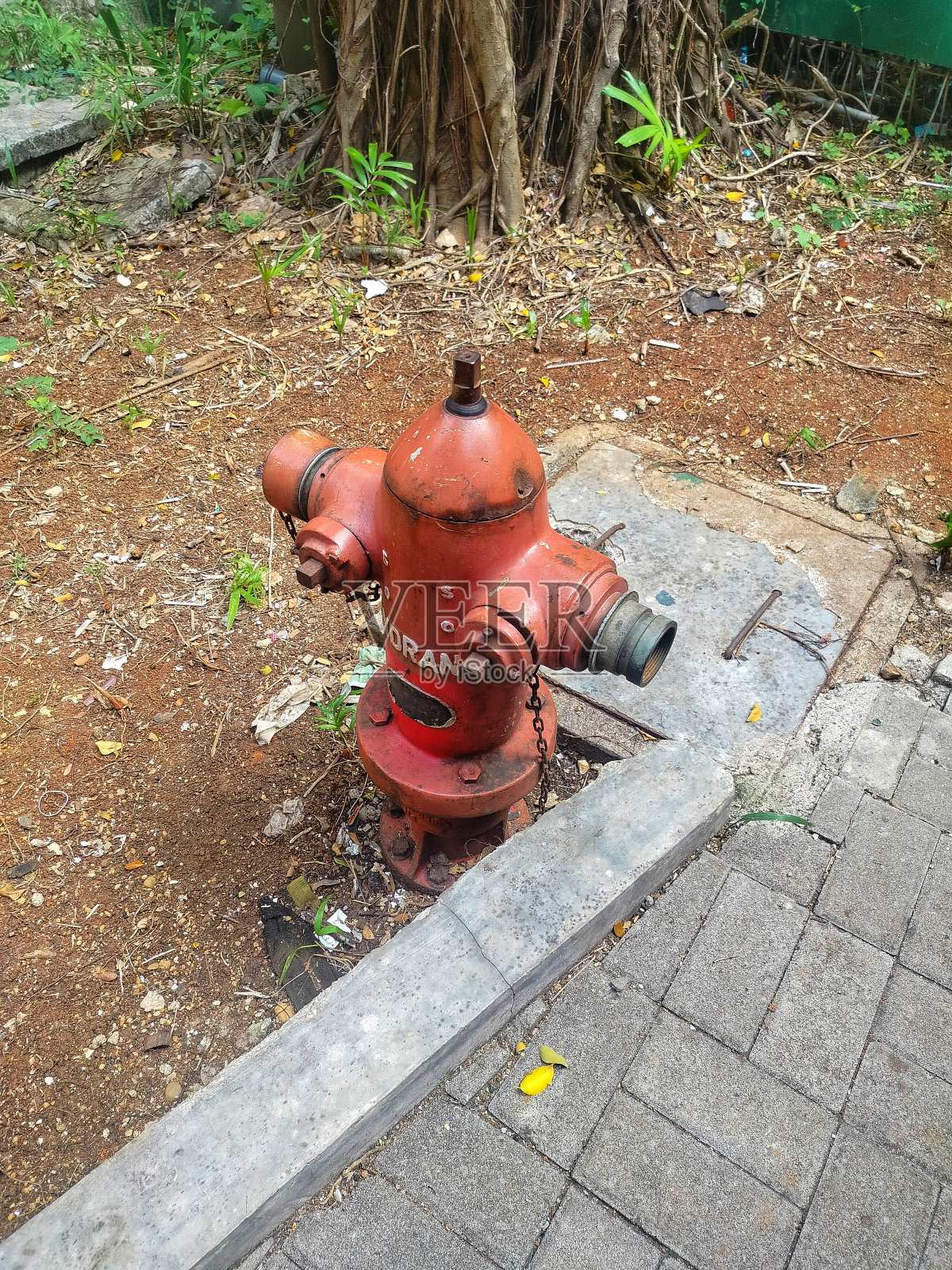 消防栓照片照片摄影图片