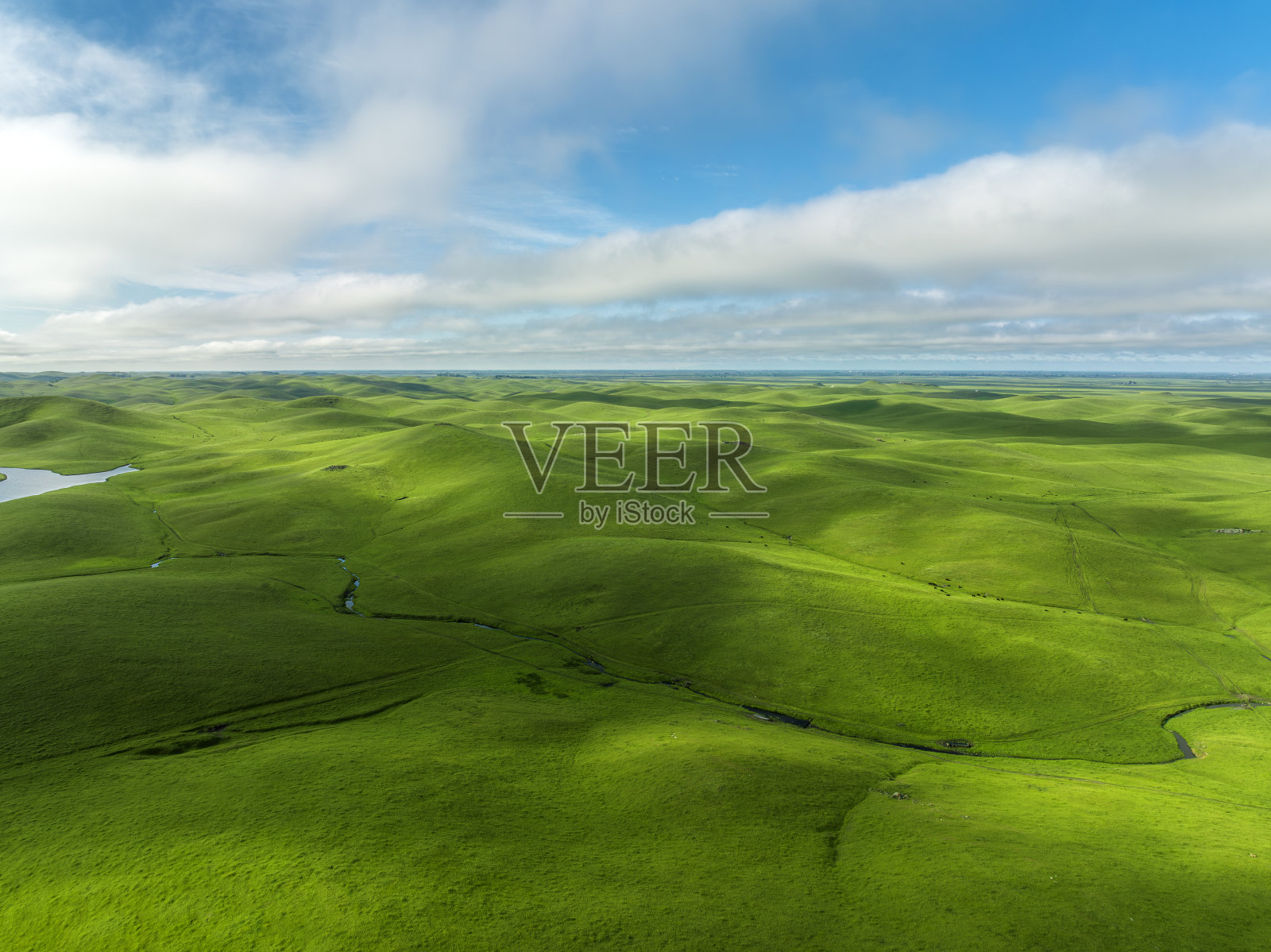 从养牛场的无人机上俯瞰照片摄影图片