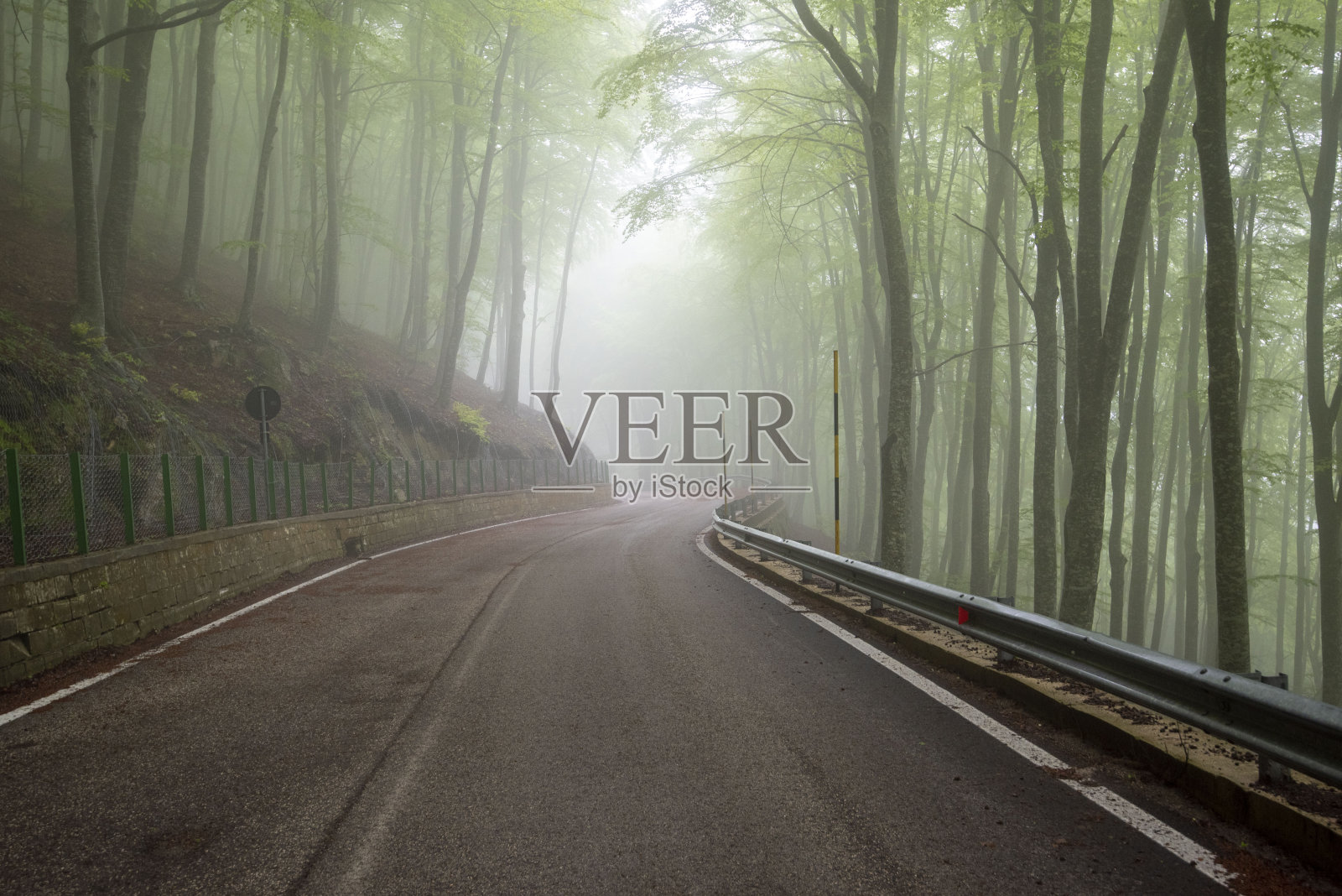 Maiella国家公园的大雾森林照片摄影图片