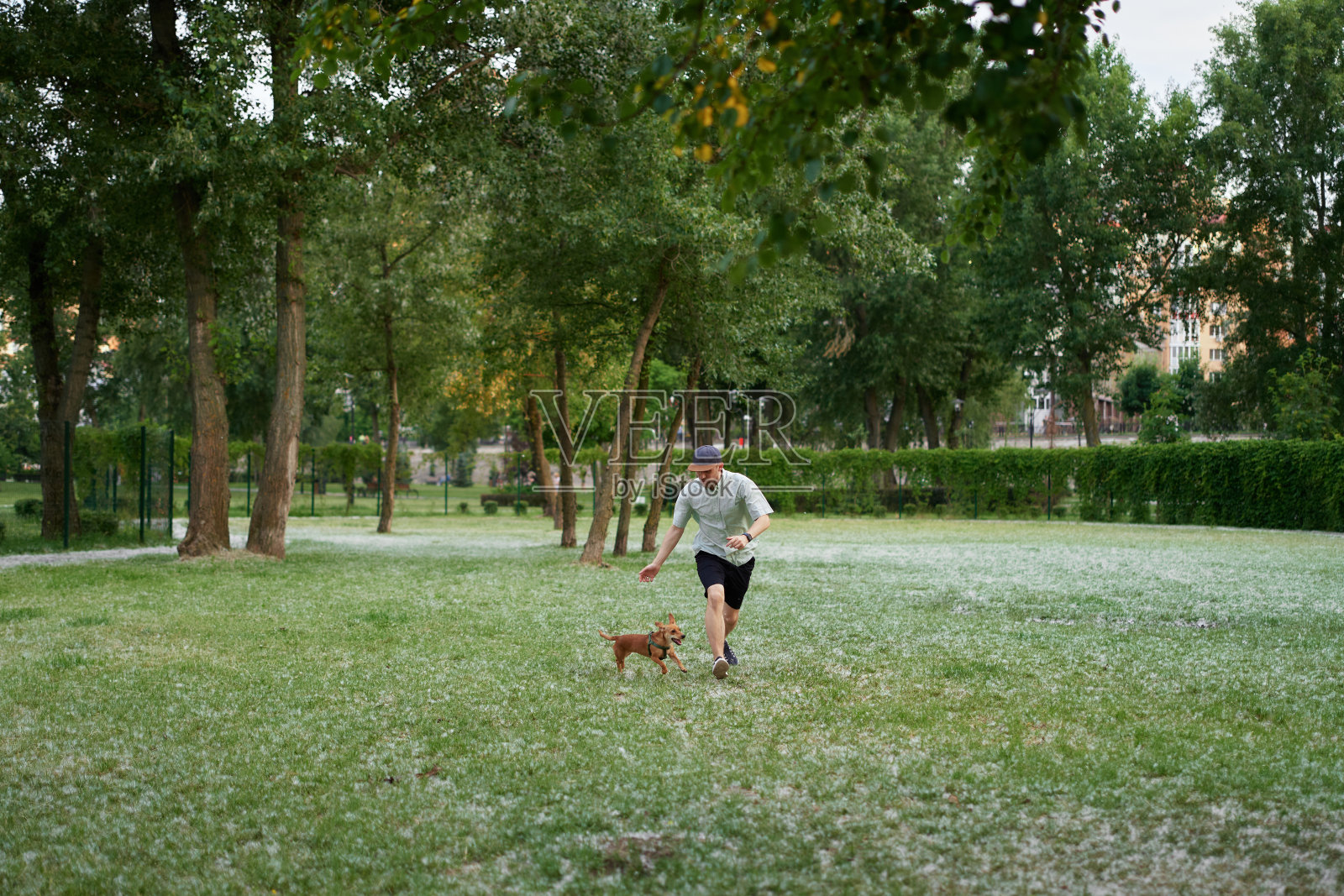 爱情，肖像和男人与狗在动物收容所被收养照片摄影图片