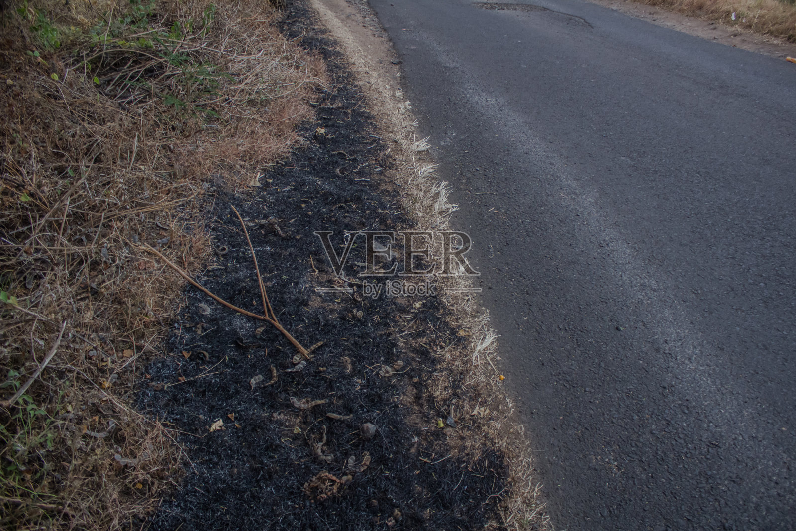 四周是沥青和草地照片摄影图片