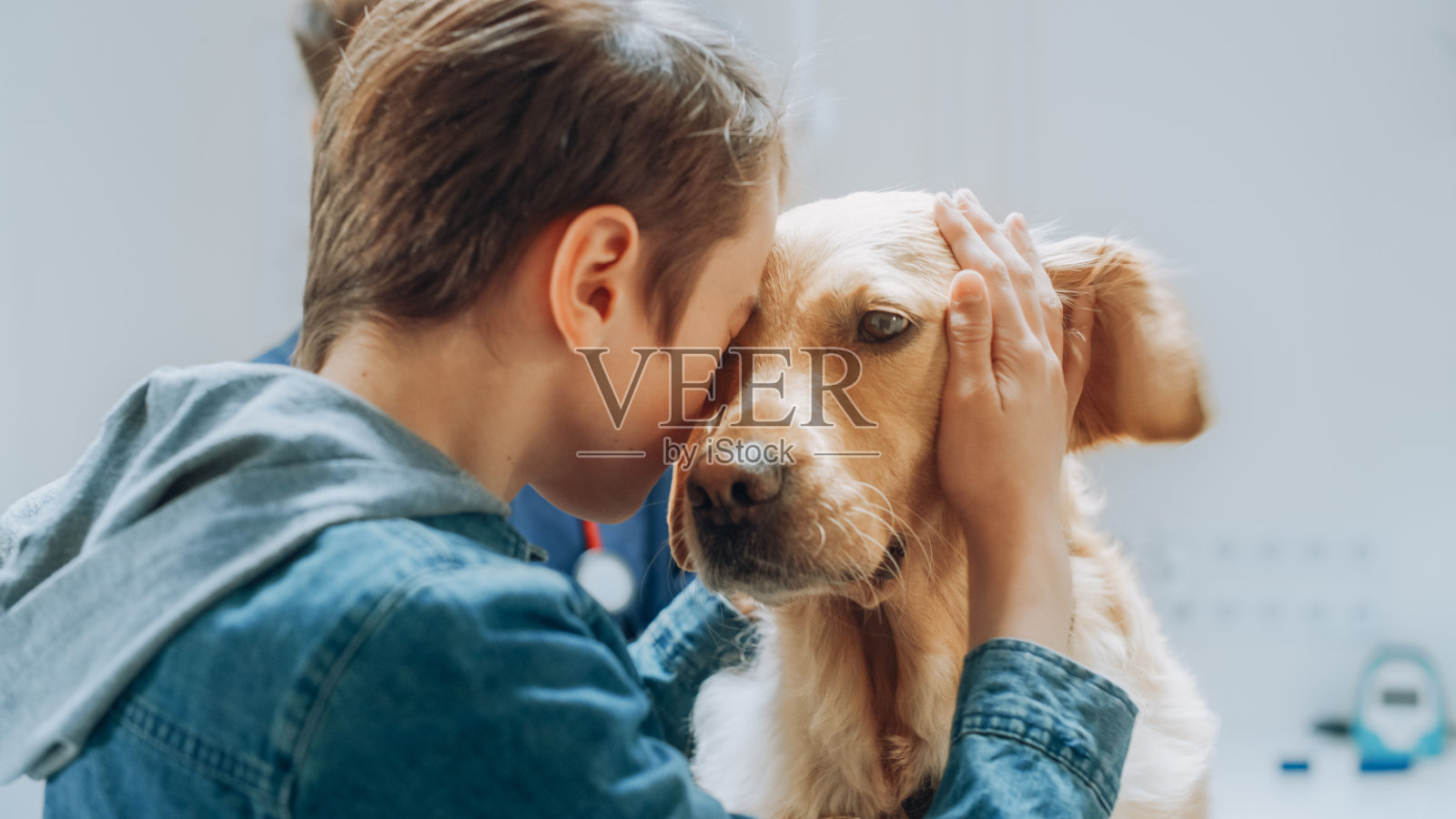 在兽医诊所里，一个男孩抚摸着他的宠物金毛猎犬。在兽医的例行体检后，狗很健康，年轻人很高兴照片摄影图片