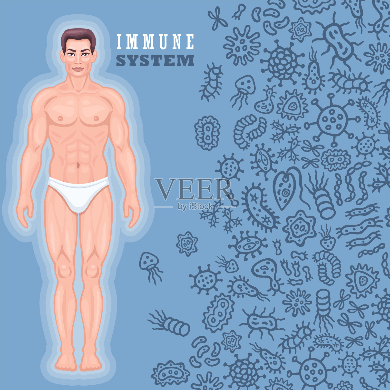 人体免疫保护系统。插画图片素材