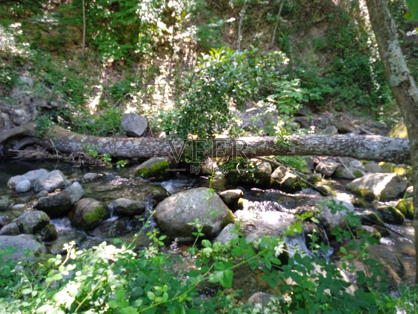 河边的乡村风光照片摄影图片