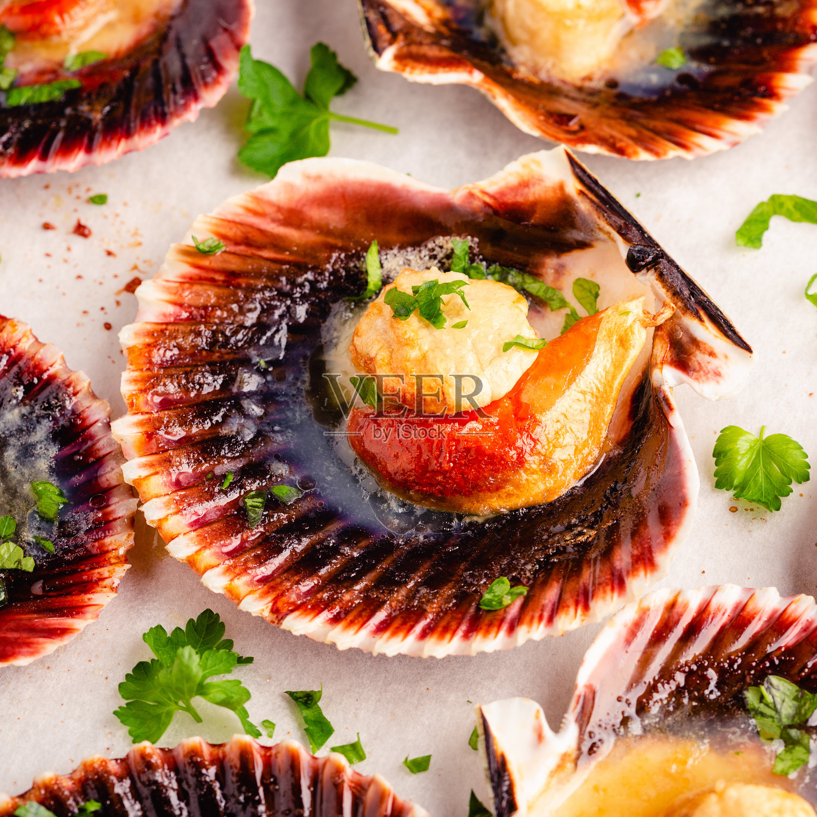 香菜扇贝照片摄影图片