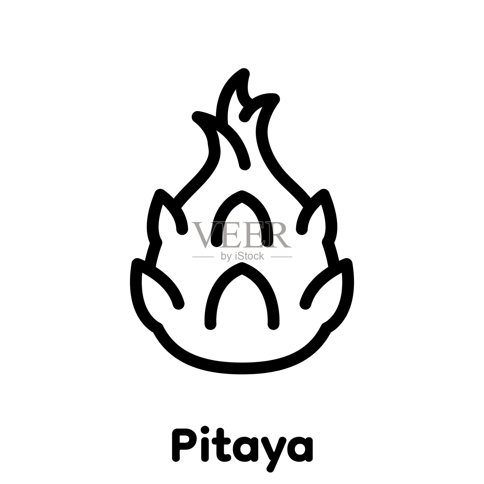 火龙果线性图标，矢量。插画图片素材