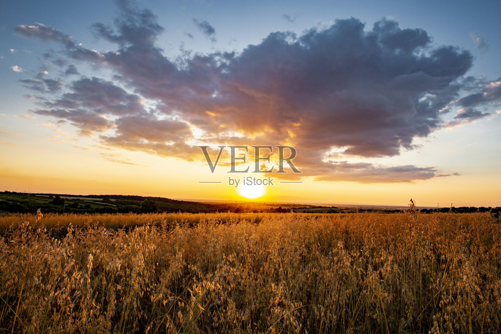 夏日草地的早晨照片摄影图片