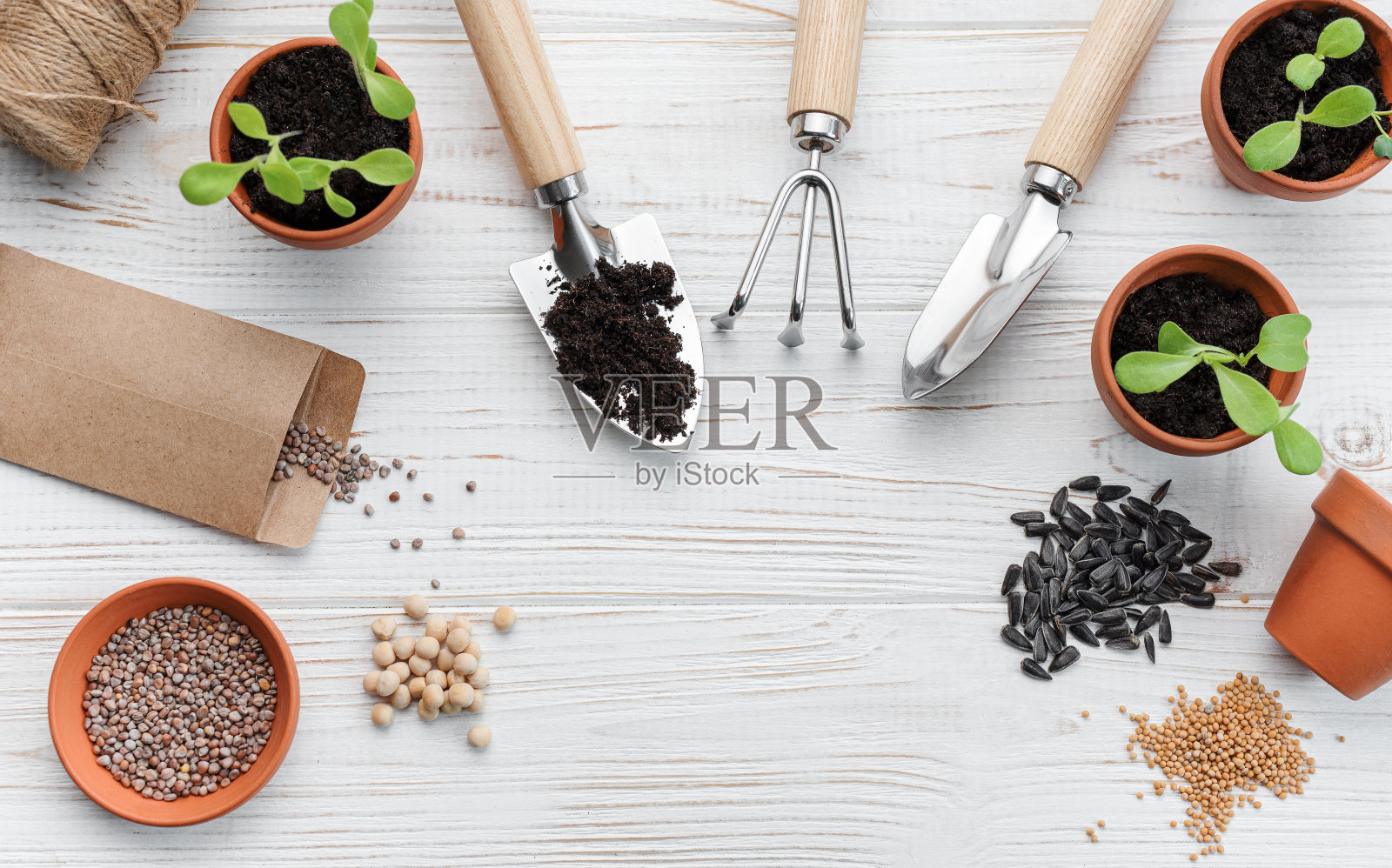 园艺理念，在家种植照片摄影图片