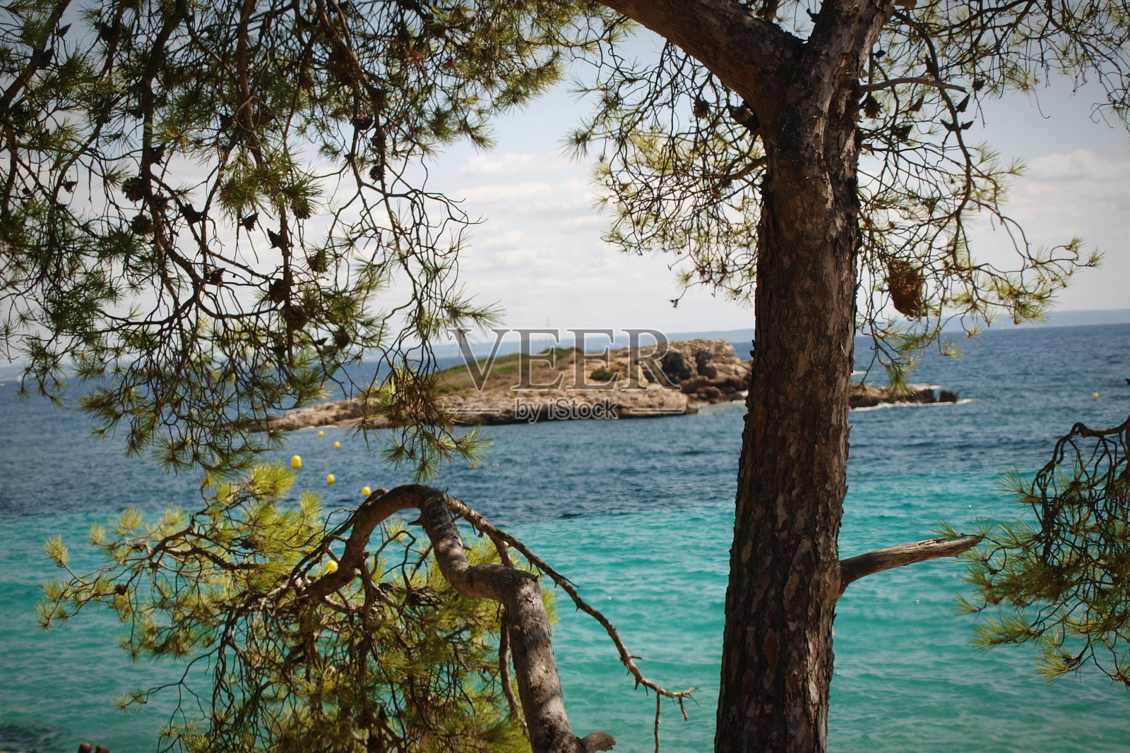 湾的观点照片摄影图片