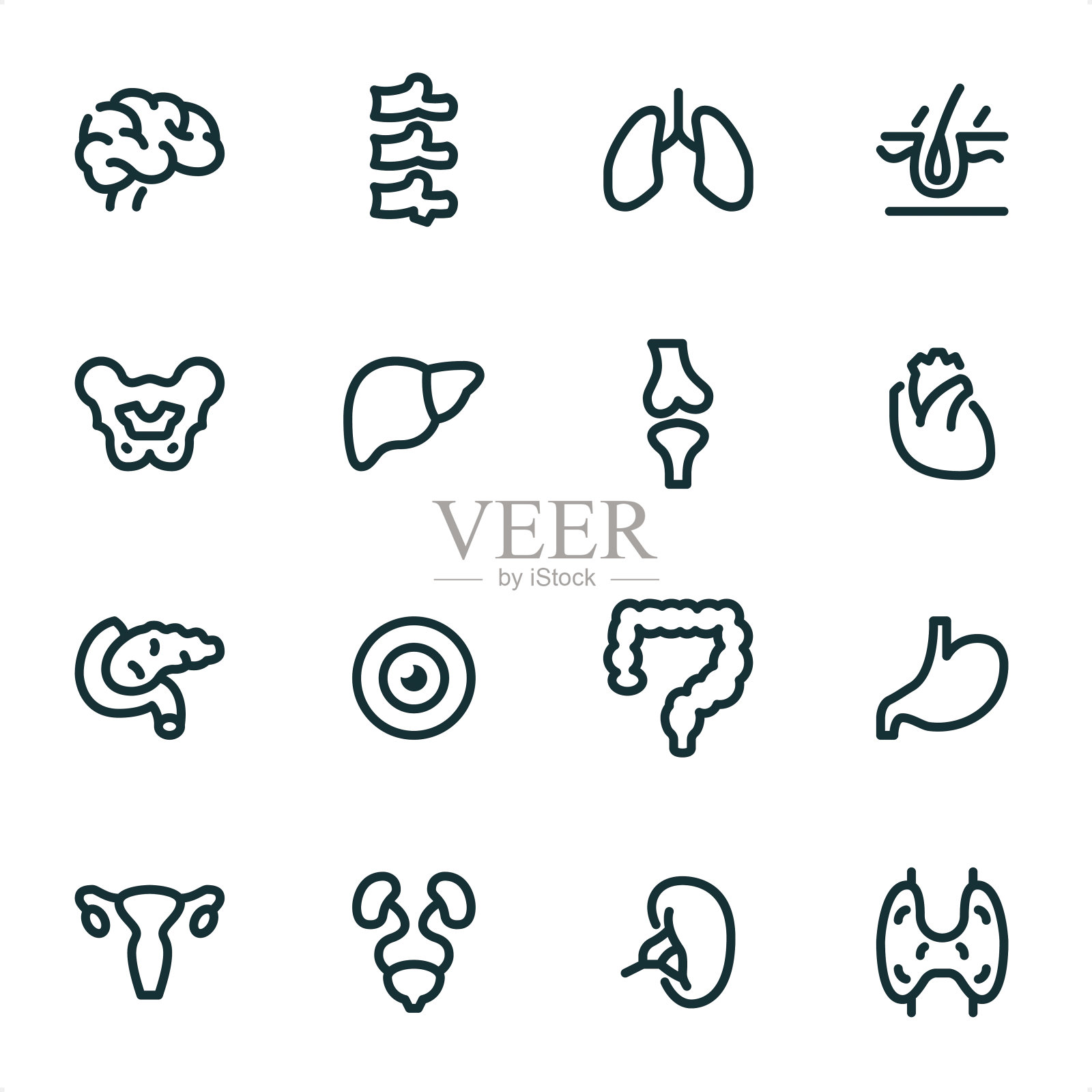 内脏器官 - 像素完美单色线条图标图标素材