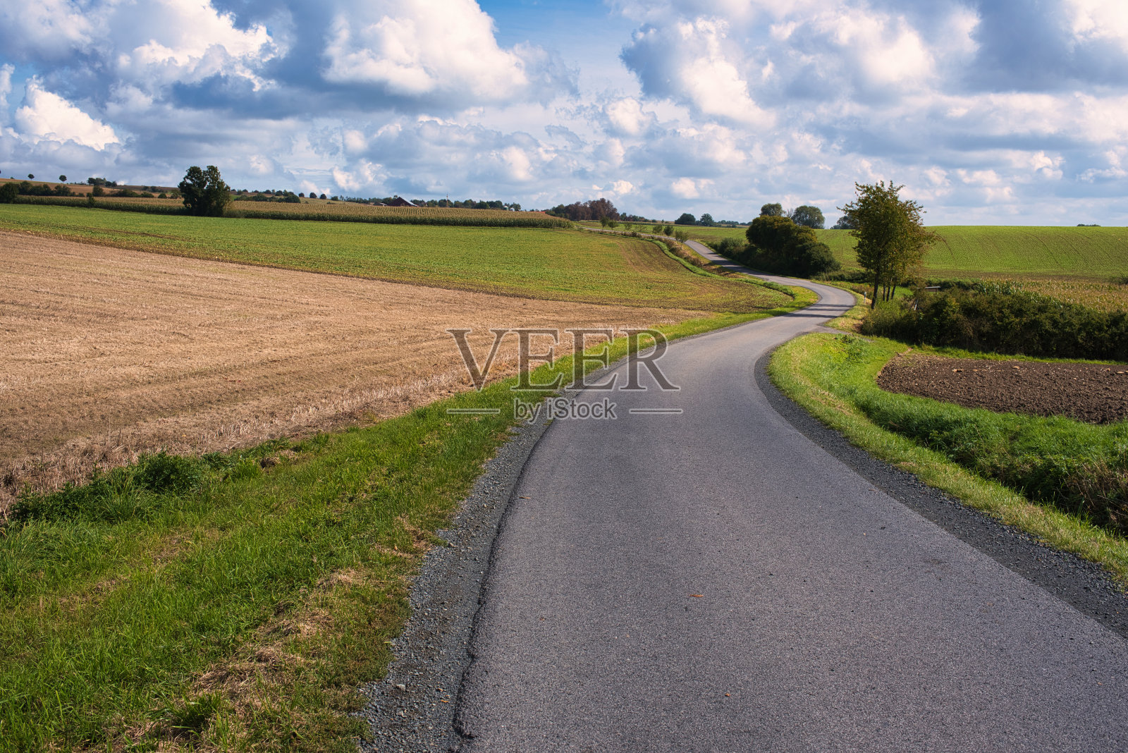 弯曲的乡间小路照片摄影图片