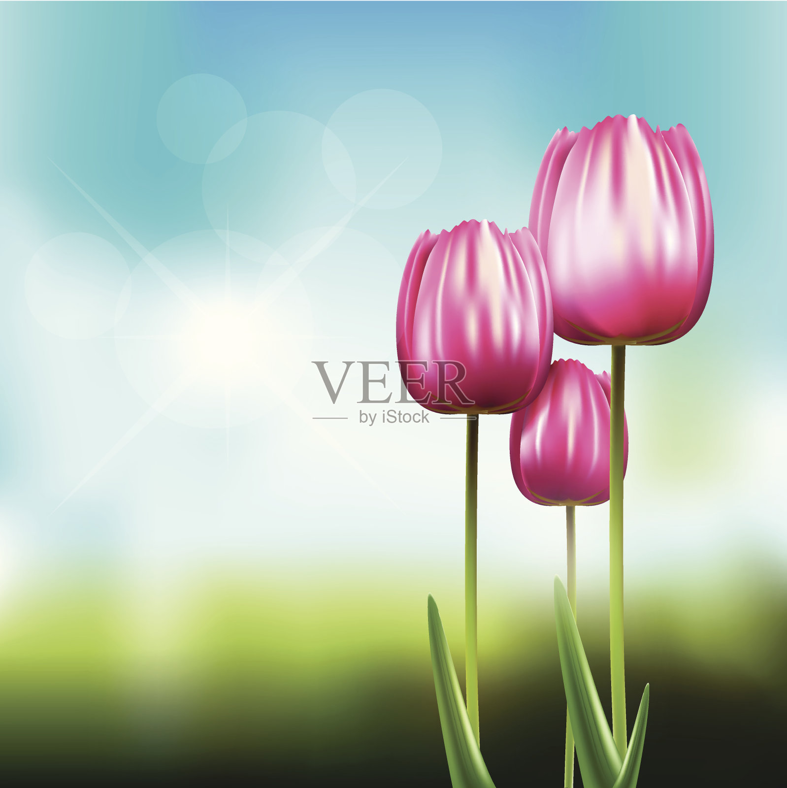 郁金香景观设计元素图片