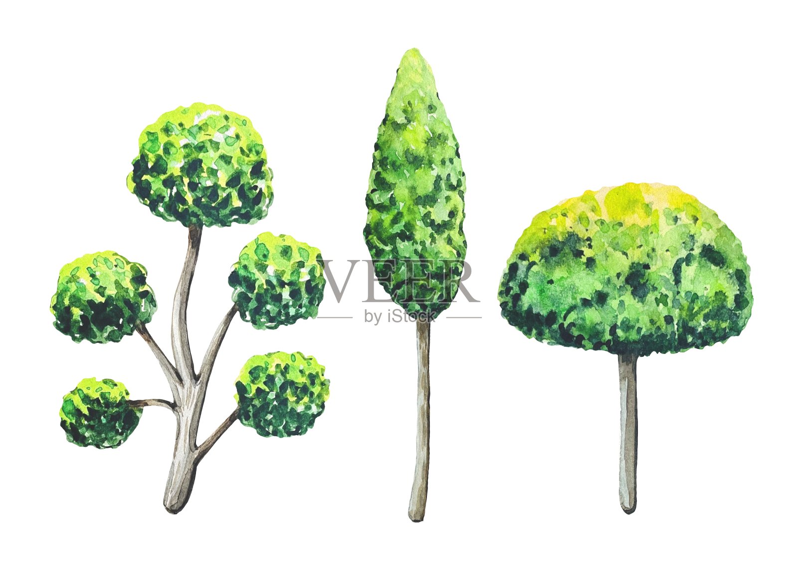 收集绿色的树木，水彩画在白色的背景插画图片素材