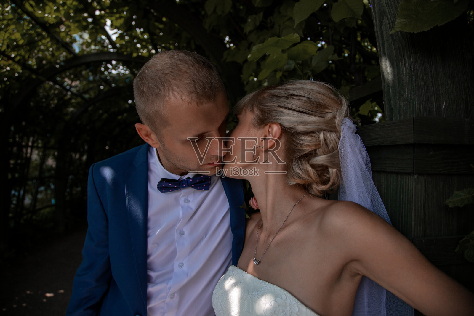 一对新婚夫妇穿着以自然为背景的婚纱。夏天在公园举行婚礼。照片摄影图片