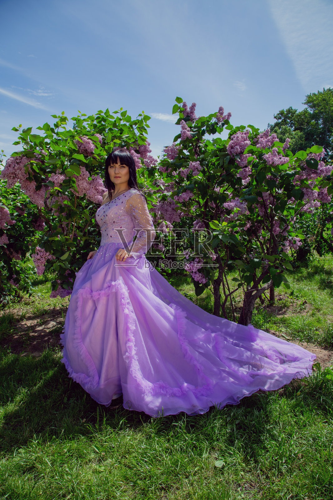春天的风格。年轻的黑发女子穿着漂亮的裙子站在一个盛开着紫色灌木的花园里。照片摄影图片