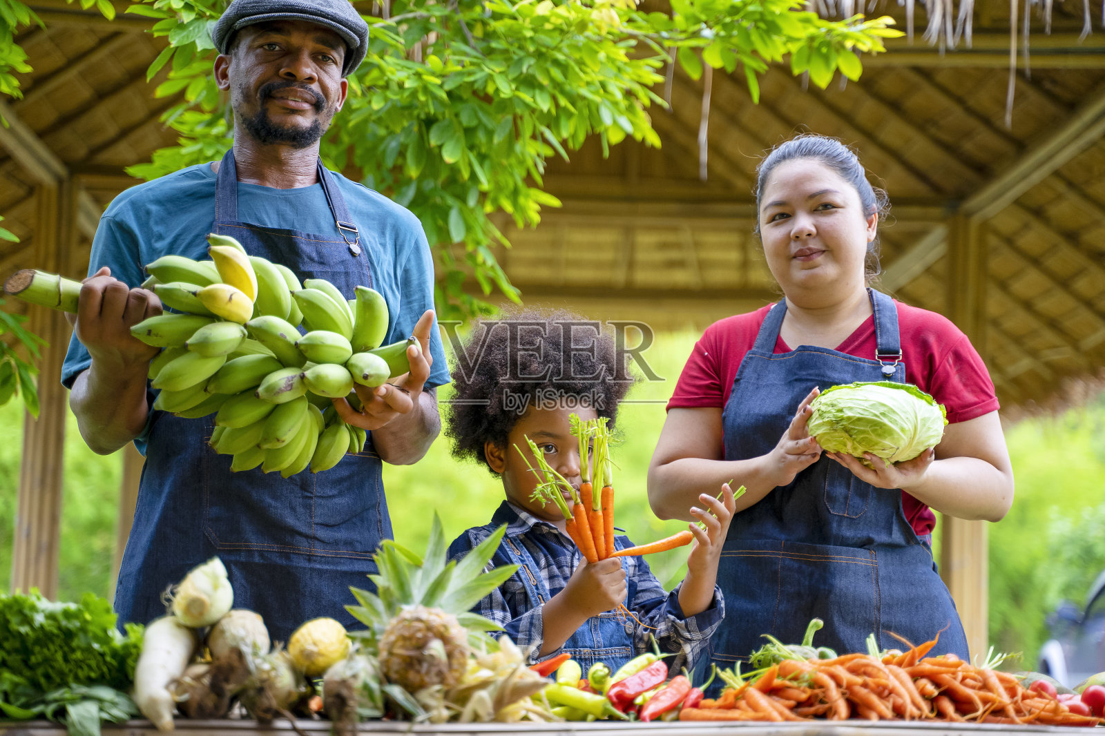家长和孩子们在果园里干活。他们正在种蔬菜。照片摄影图片