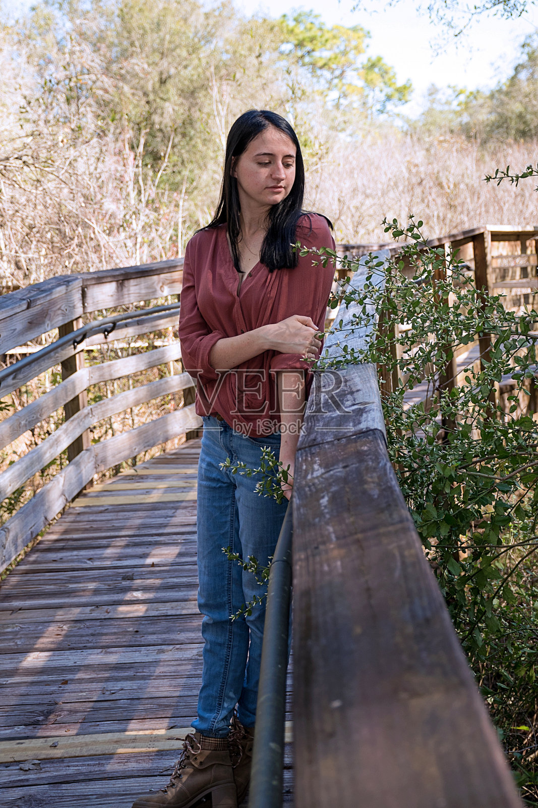 自然照片摄影图片