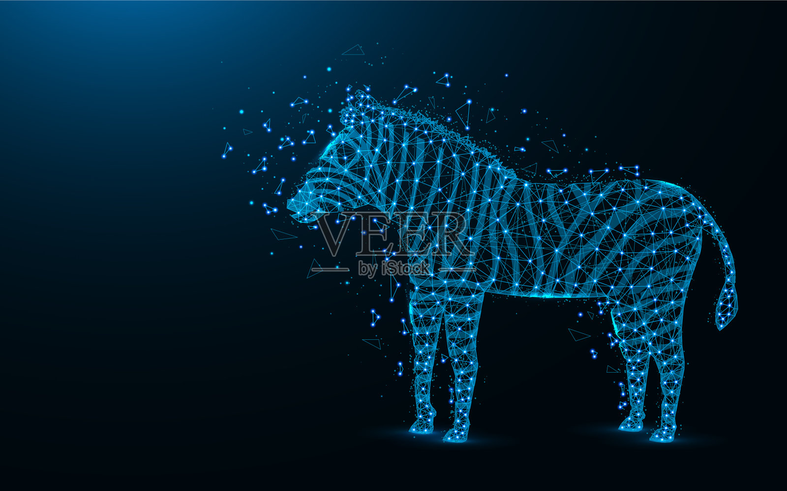 斑马低聚设计非洲动物抽象插画图片素材