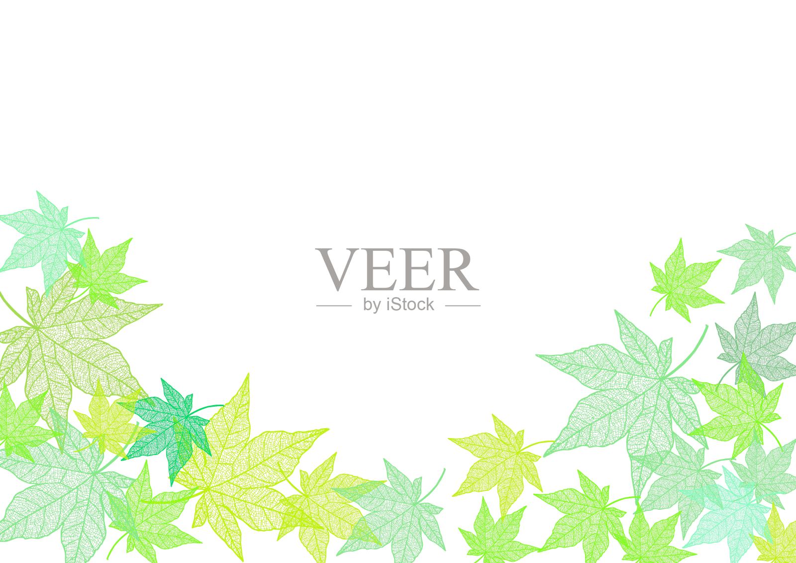 夏天的秋叶剪贴画。美丽的插图，叶脉贯穿。壁纸、框架。插画图片素材