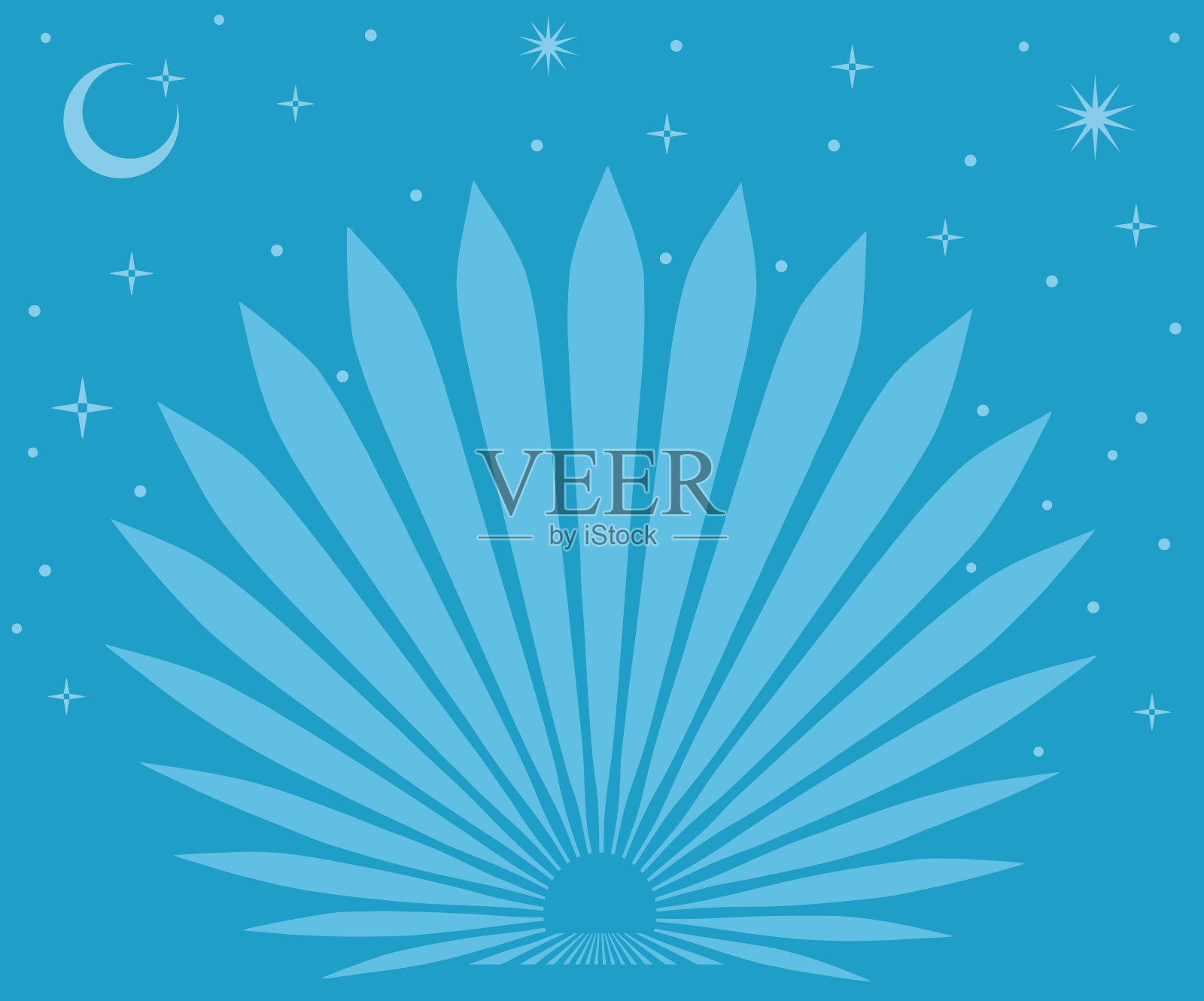 蓝色龙舌兰植物与夜空和星星插画图片素材