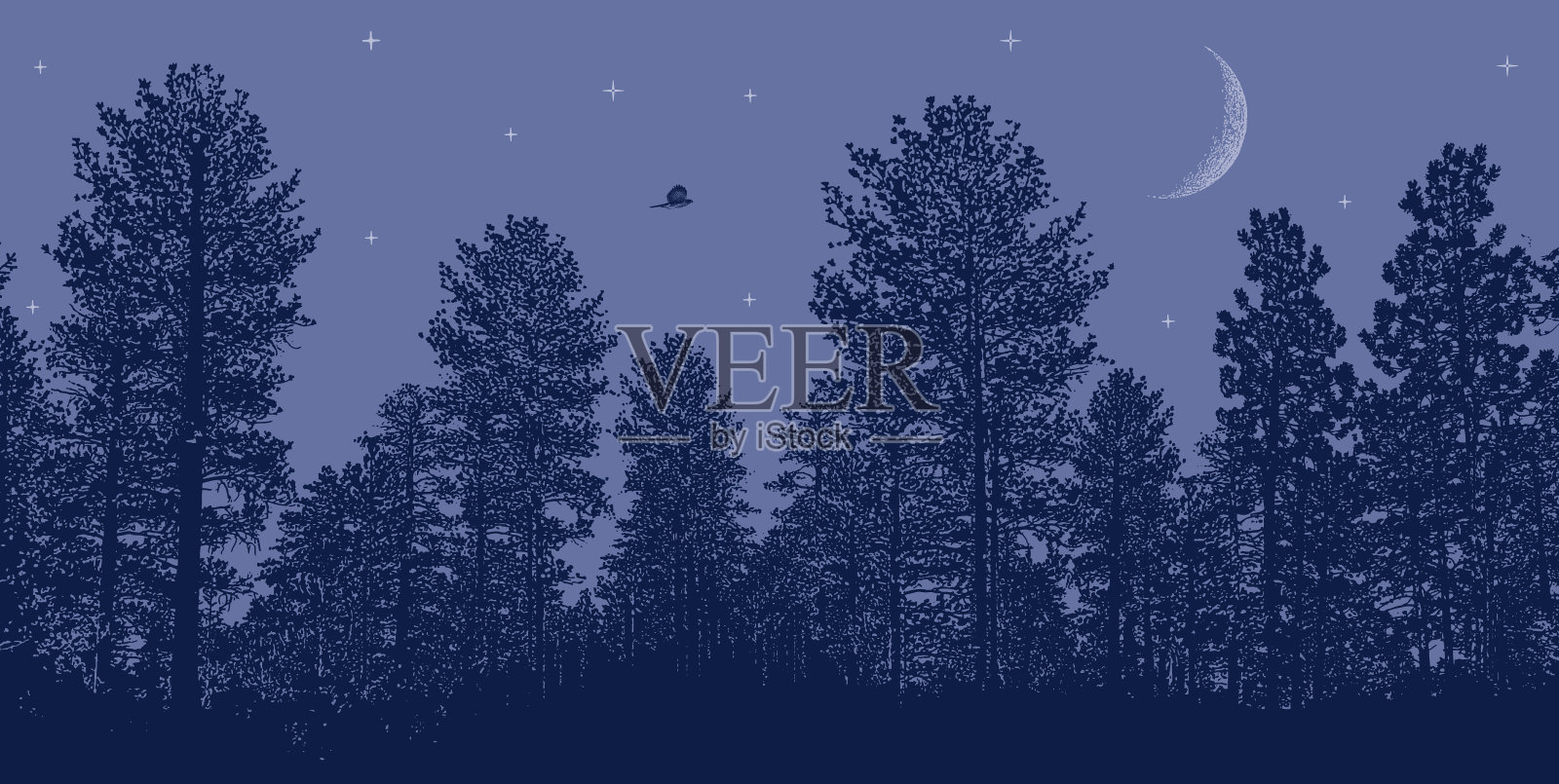 夜空松树，月亮和星星插画图片素材