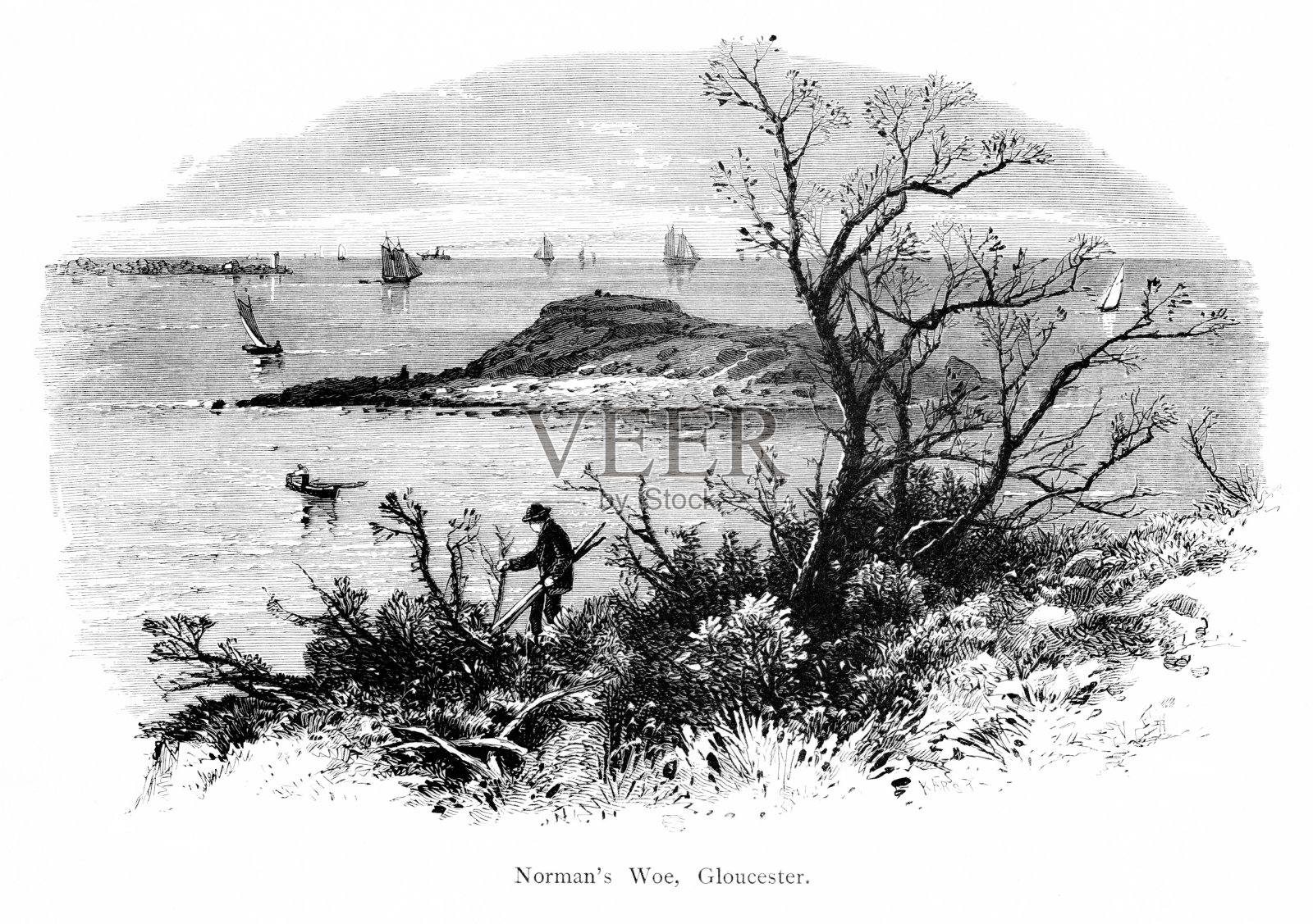 诺曼的悲哀，美国马萨诸塞州格洛斯特，《美国地理》插画图片素材