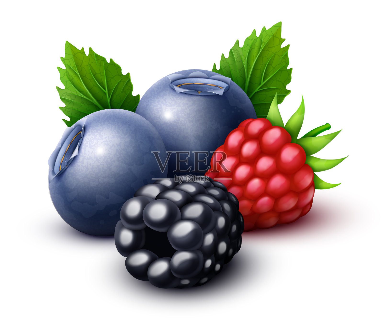 覆盆子，黑莓，蓝莓甜莓混合插画图片素材