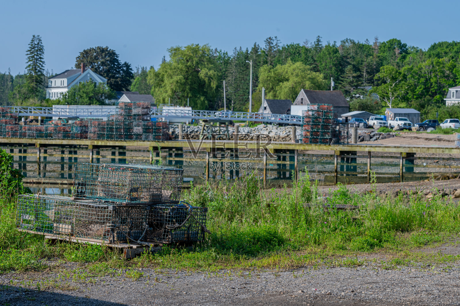龙虾锅照片摄影图片