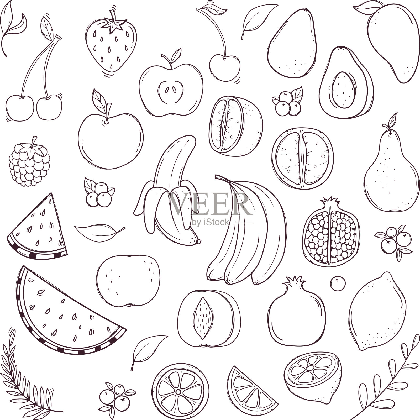 手绘黑白水果和浆果设置插画图片素材