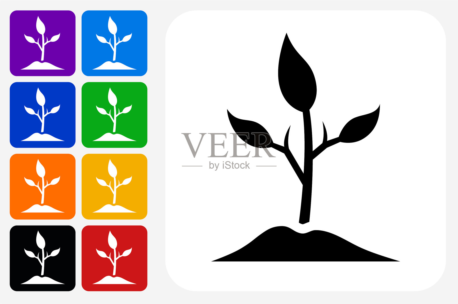 植物图标方形按钮设置插画图片素材