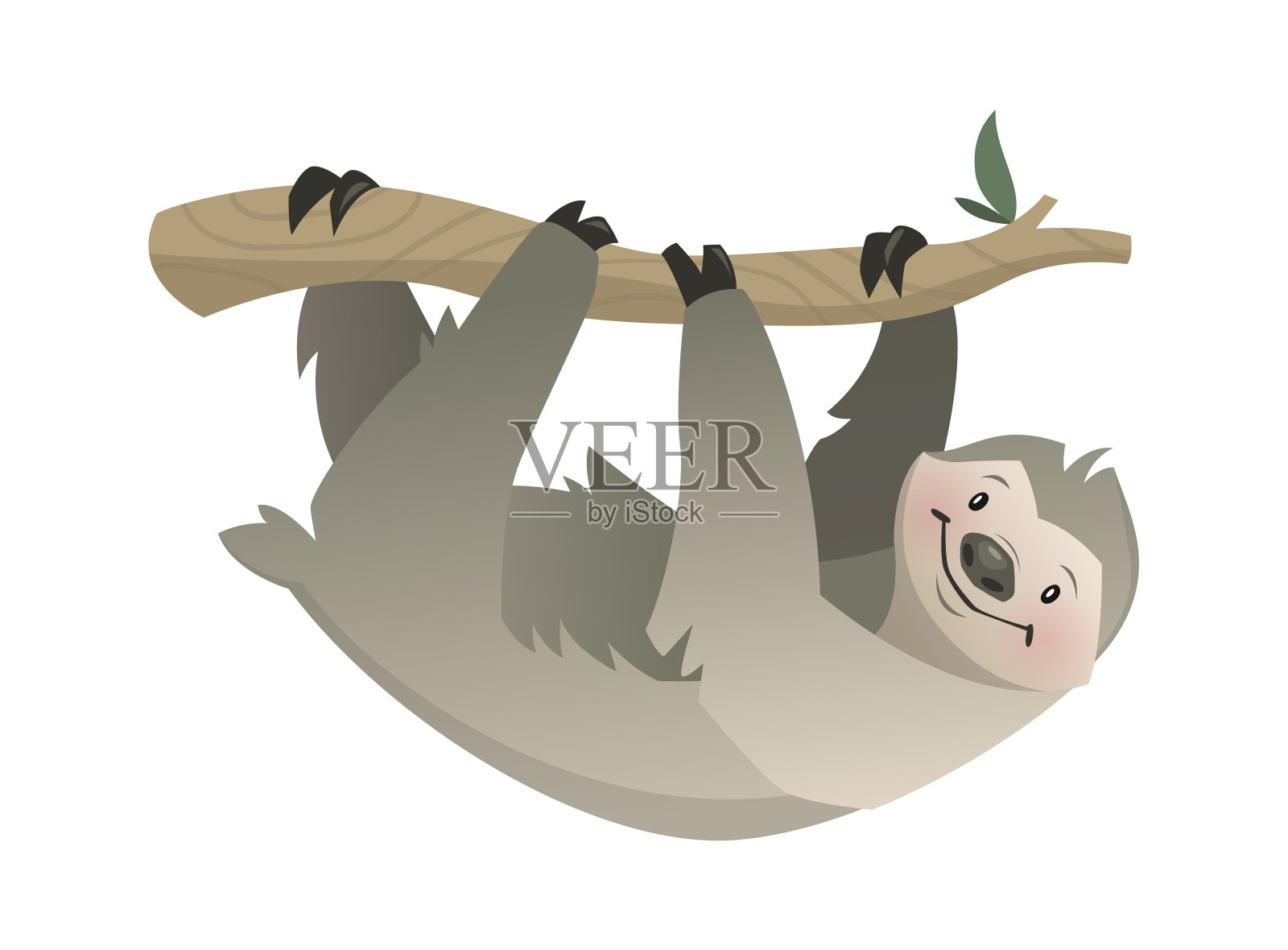 懒惰。热带丛林，马戏团或动物园的动物，灰熊在树枝上挂，野生动物异国情调的儿童印花，非洲动物的人物海报。向量现代单卡通插图插画图片素材
