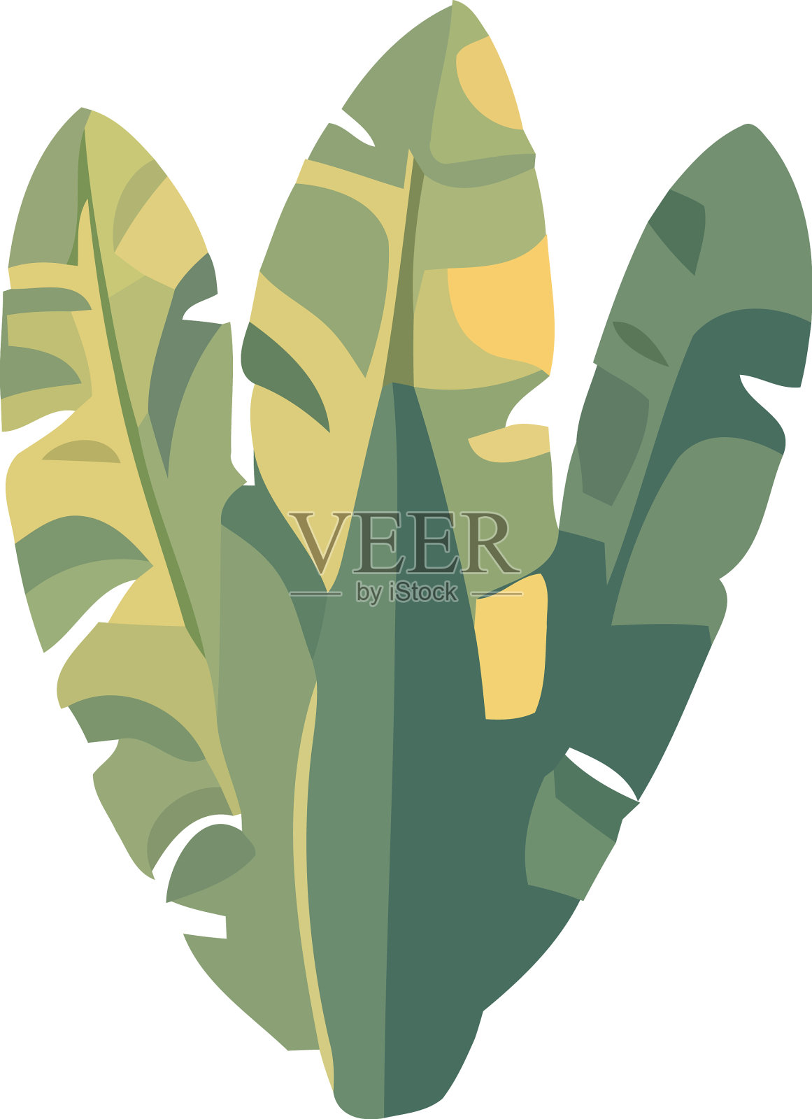 热带棕榈叶自然设计元素图片