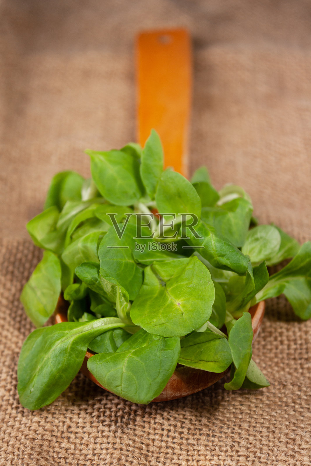 木勺里塞满了迷你菠菜，选择性地集中注意力照片摄影图片