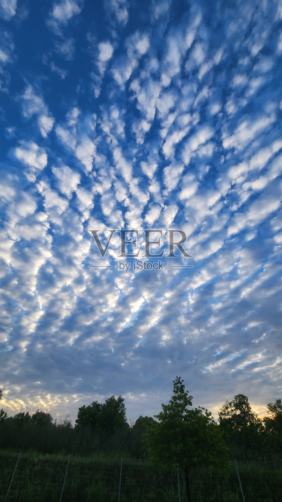 天空1照片摄影图片