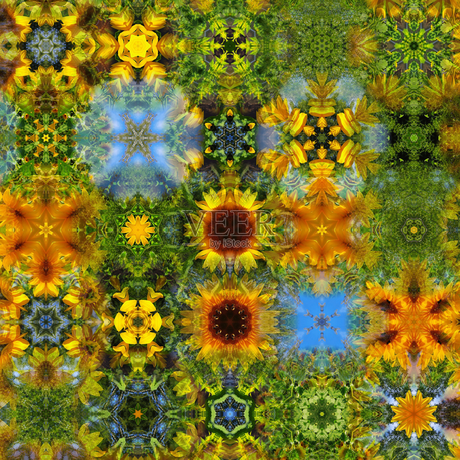 抽象的花朵照片摄影图片