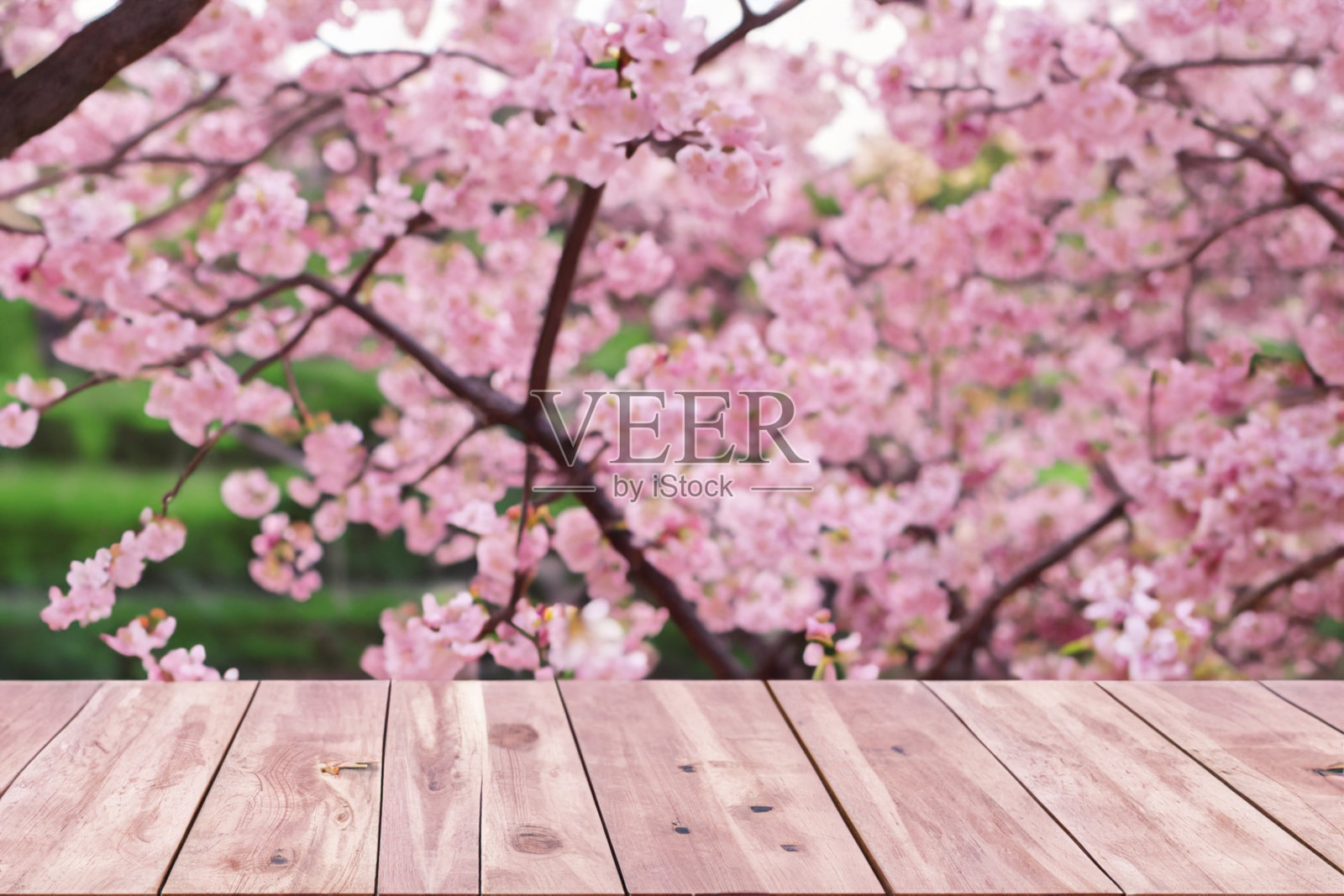 空木桌樱花公园与花园散景背景与乡村户外主题，模板模拟展示产品照片摄影图片