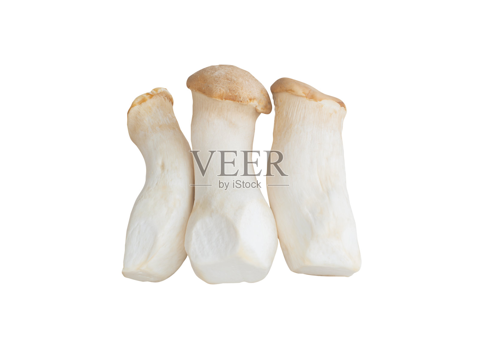 白底剪径分离的Eringii菇照片摄影图片