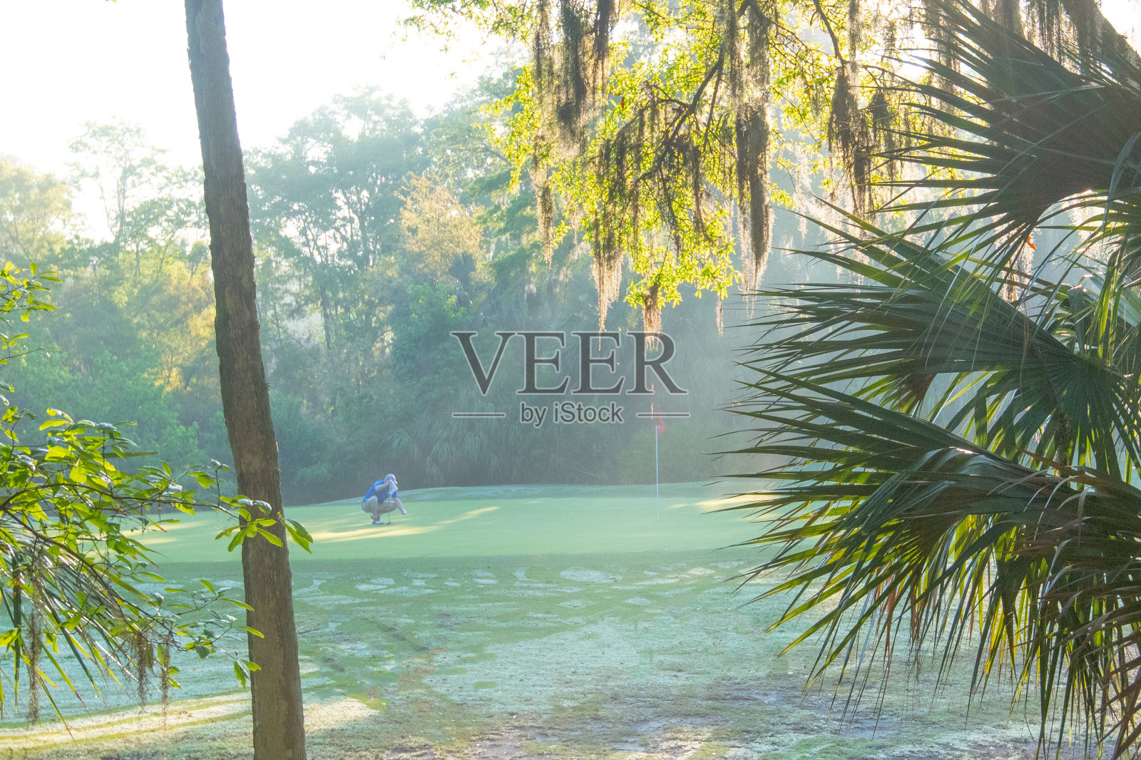 高尔夫的雾蒙蒙的早晨-希尔顿头，南卡罗来纳州照片摄影图片