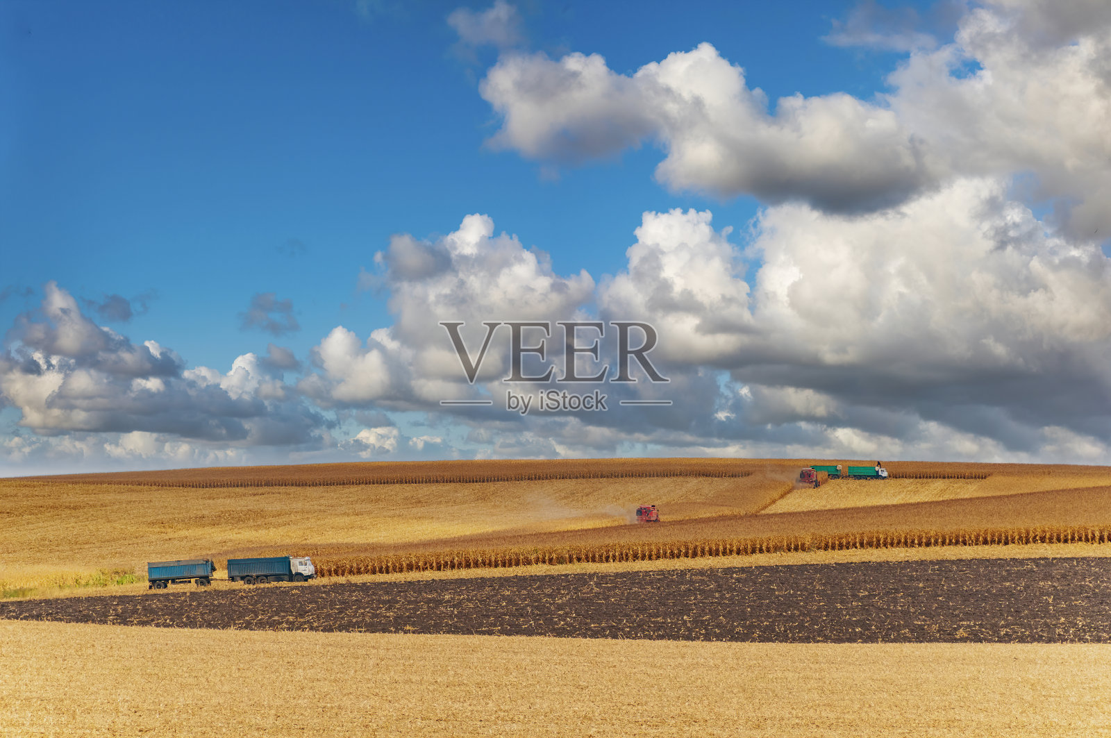 生机勃勃的农田，农业机械正在收割照片摄影图片