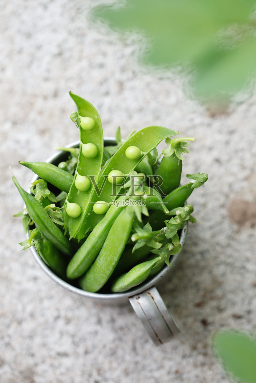 熟透的新鲜豌豆装在金属杯中，背景质朴照片摄影图片