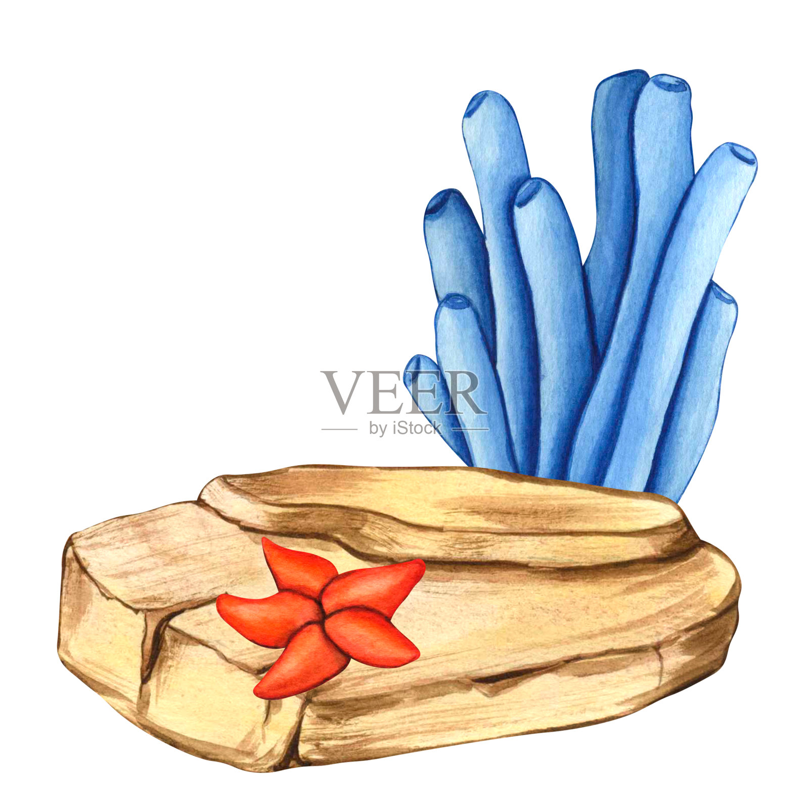 水彩画石头，海星和蓝色海藻。插图水下的草和岩石的集合，自然景观插图元素，孤立的白色背景上的儿童印刷插画图片素材
