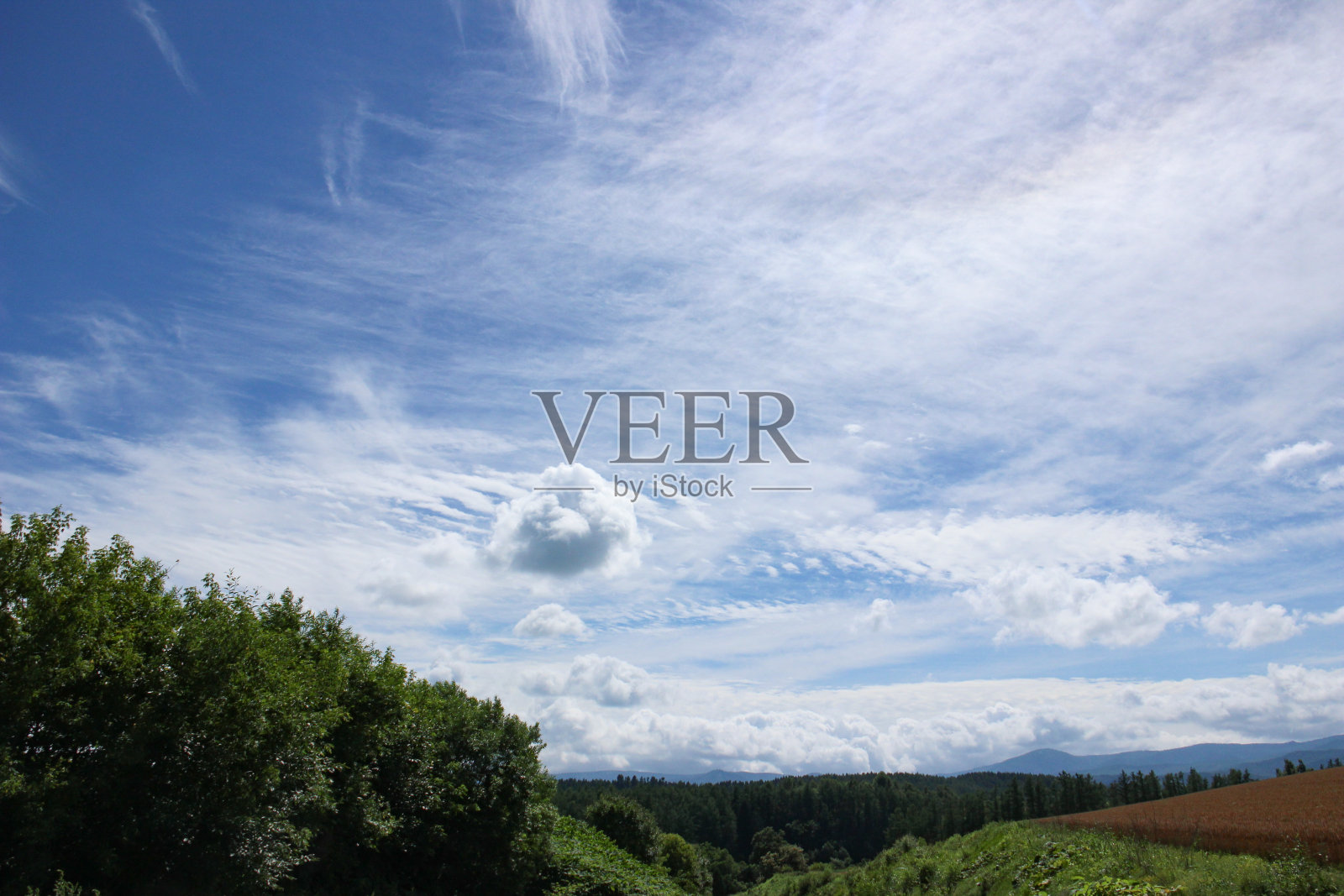 蓝蓝的天空里飘着云朵照片摄影图片